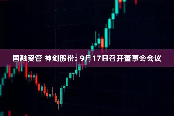 国融资管 神剑股份: 9月17日召开董事会会议