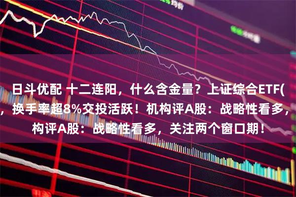 日斗优配 十二连阳，什么含金量？上证综合ETF(510980)12连涨，换手率超8%交投活跃！机构评A股：战略性看多，关注两个窗口期！