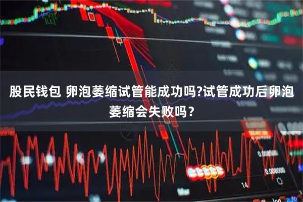 股民钱包 卵泡萎缩试管能成功吗?试管成功后卵泡萎缩会失败吗？