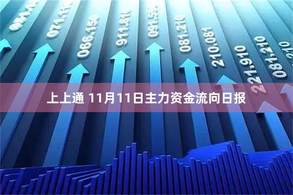 上上通 11月11日主力资金流向日报