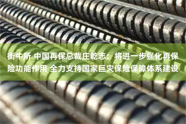 衡牛所 中国再保总裁庄乾志：将进一步强化再保险功能作用 全力支持国家巨灾保险保障体系建设