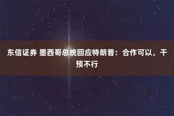 东信证券 墨西哥总统回应特朗普：合作可以，干预不行