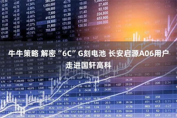 牛牛策略 解密“6C”G刻电池 长安启源A06用户走进国轩高科